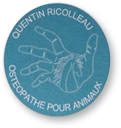Quentin RICOLLEAU, ostéopathe pour animaux